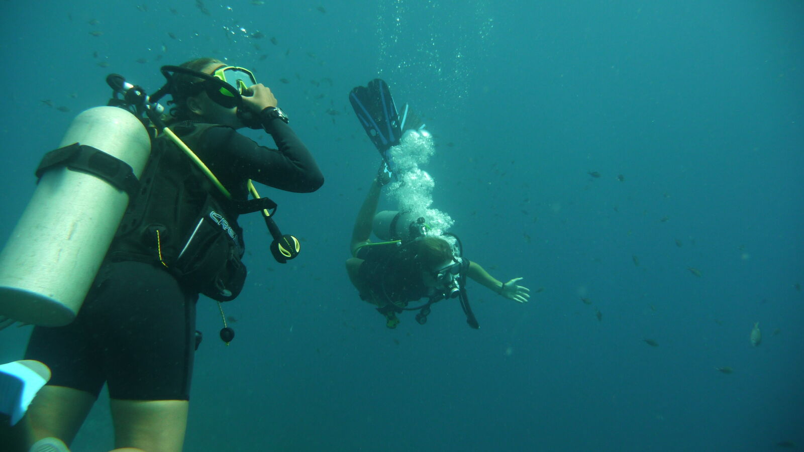 Wreck Dive @ Hilma Hooker.