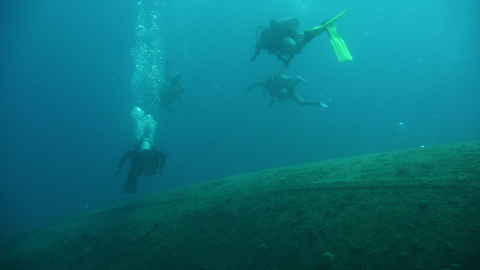 Wreck Dive @ Hilma Hooker.