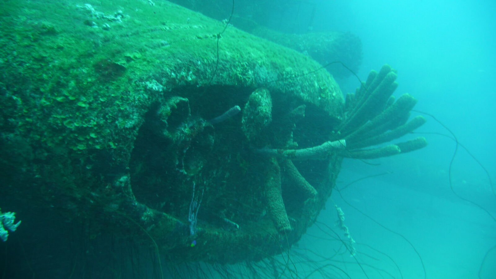Wreck Dive @ Hilma Hooker.