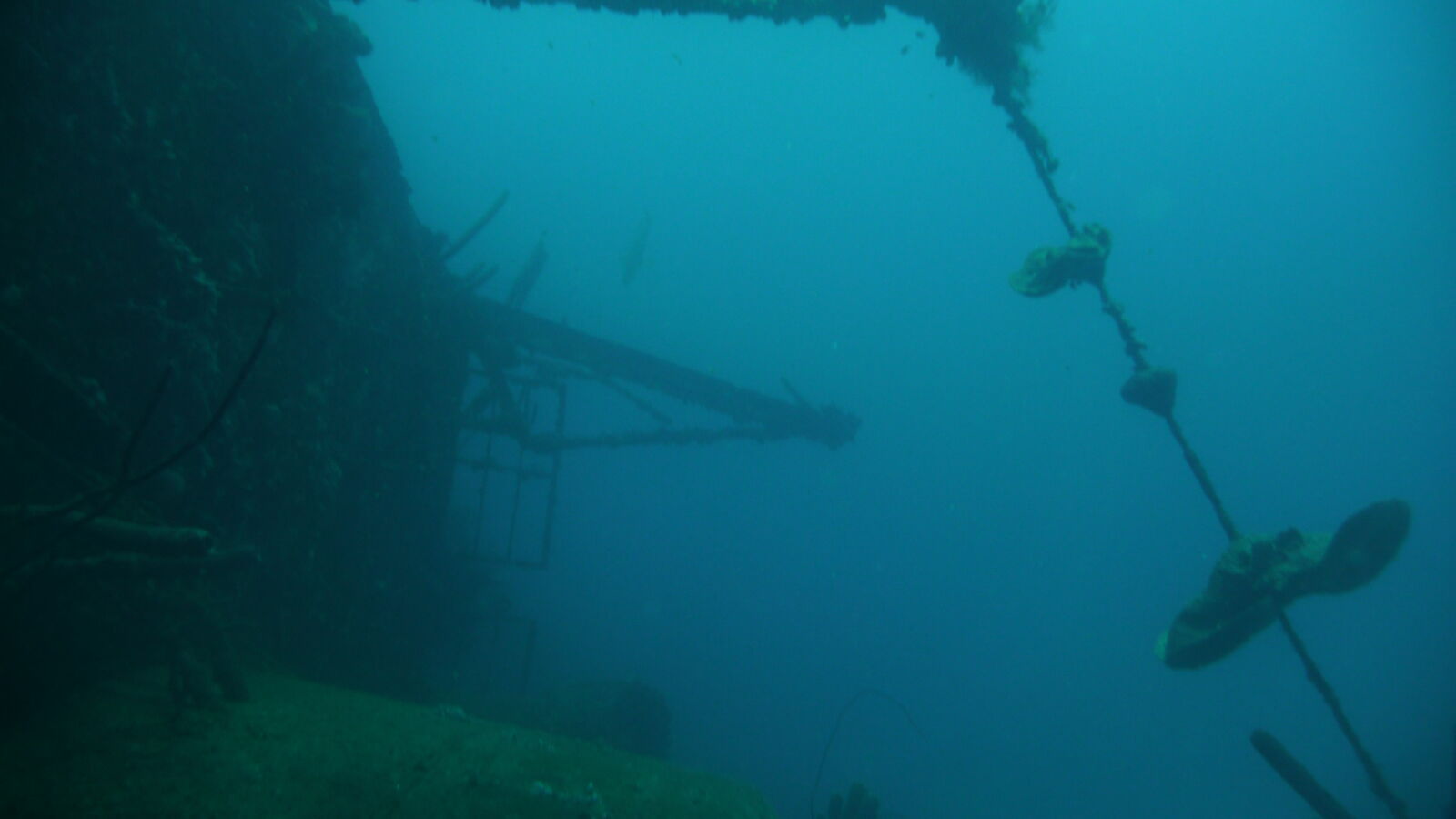 Wreck Dive @ Hilma Hooker.