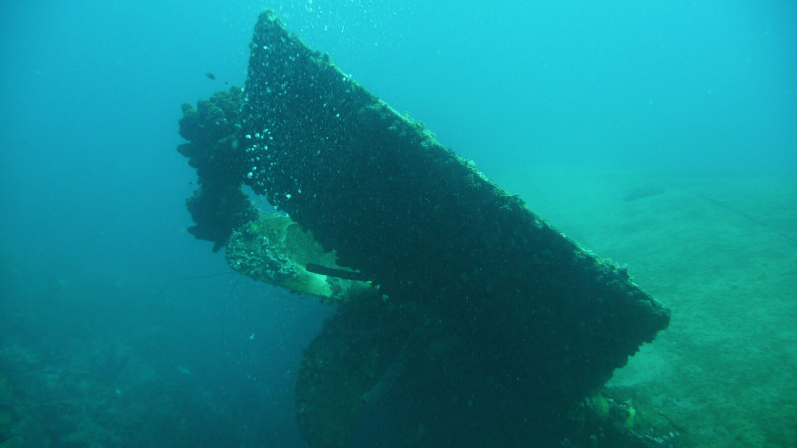 Wreck Dive @ Hilma Hooker.