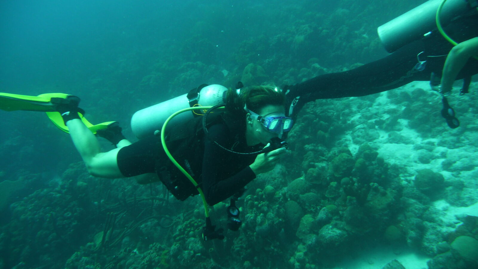 Wreck Dive @ Hilma Hooker.