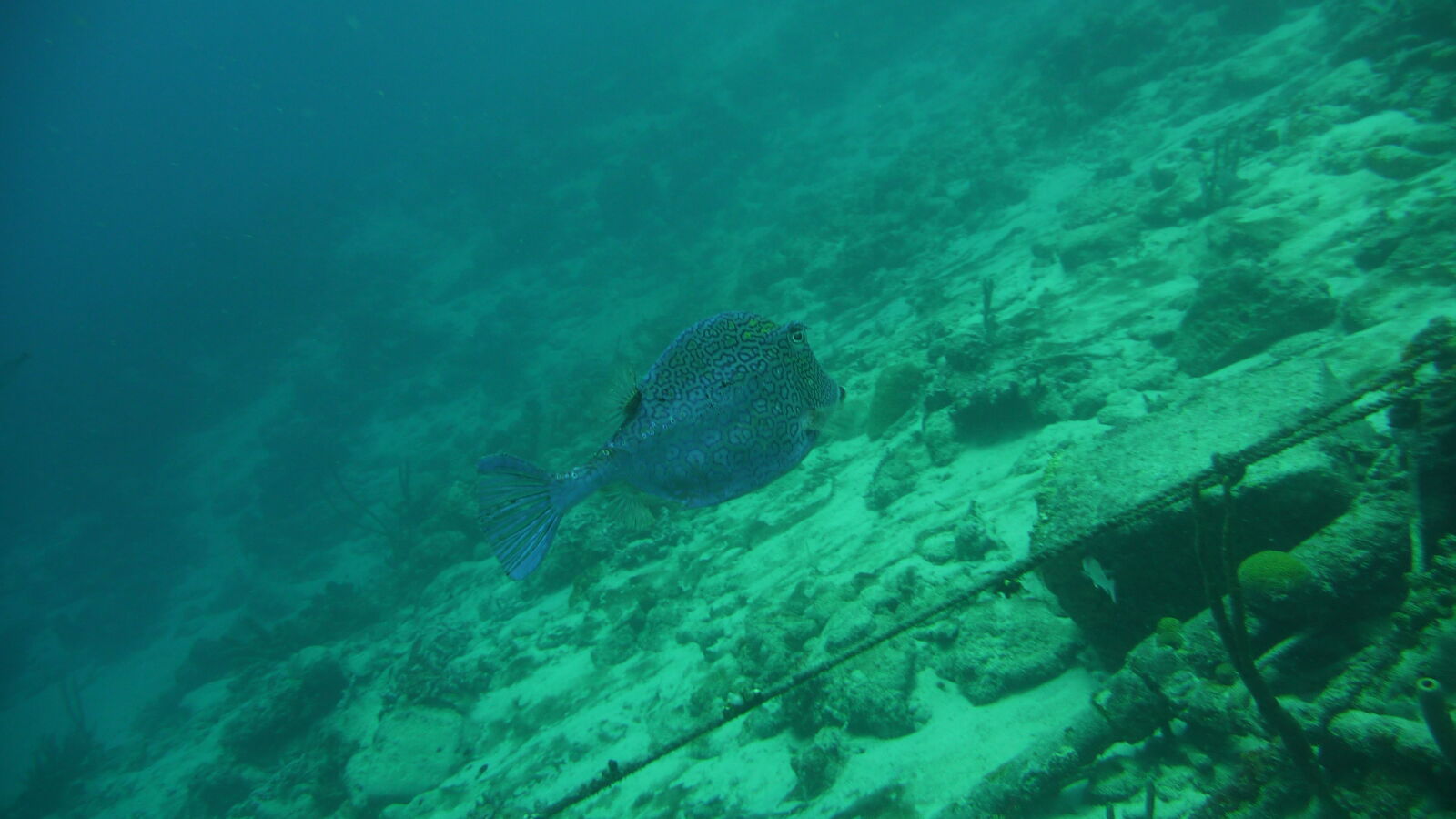 Deep Dive @ Front Porch.