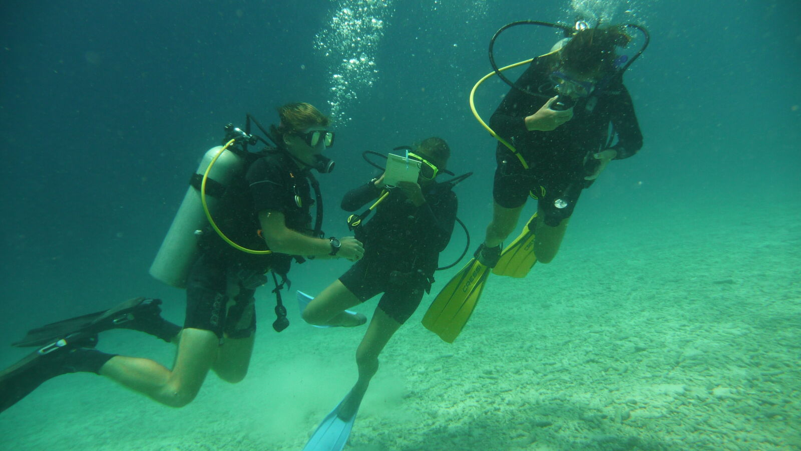 Deep Dive @ Front Porch.