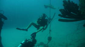 Wreck Dive @ Hilma Hooker.