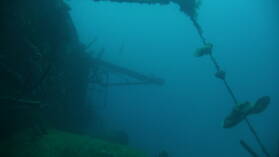 Wreck Dive @ Hilma Hooker.