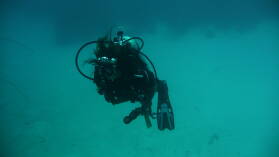Wreck Dive @ Hilma Hooker.