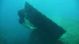 Wreck Dive @ Hilma Hooker.