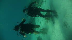 Wreck Dive @ Hilma Hooker.