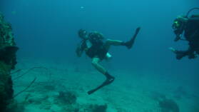 Deep Dive @ Front Porch.