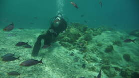Deep Dive @ Front Porch.