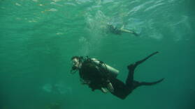 Deep Dive @ Front Porch.