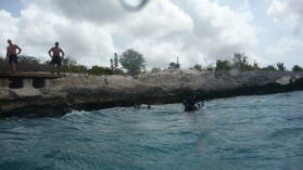 Oil Slick Leap.