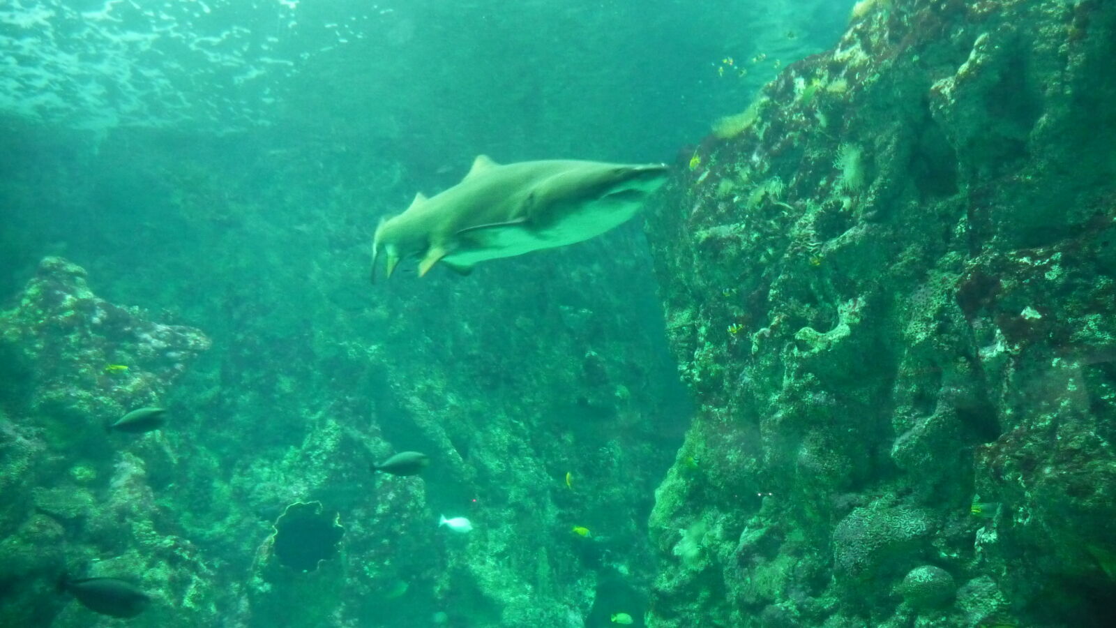 Oceanopolis