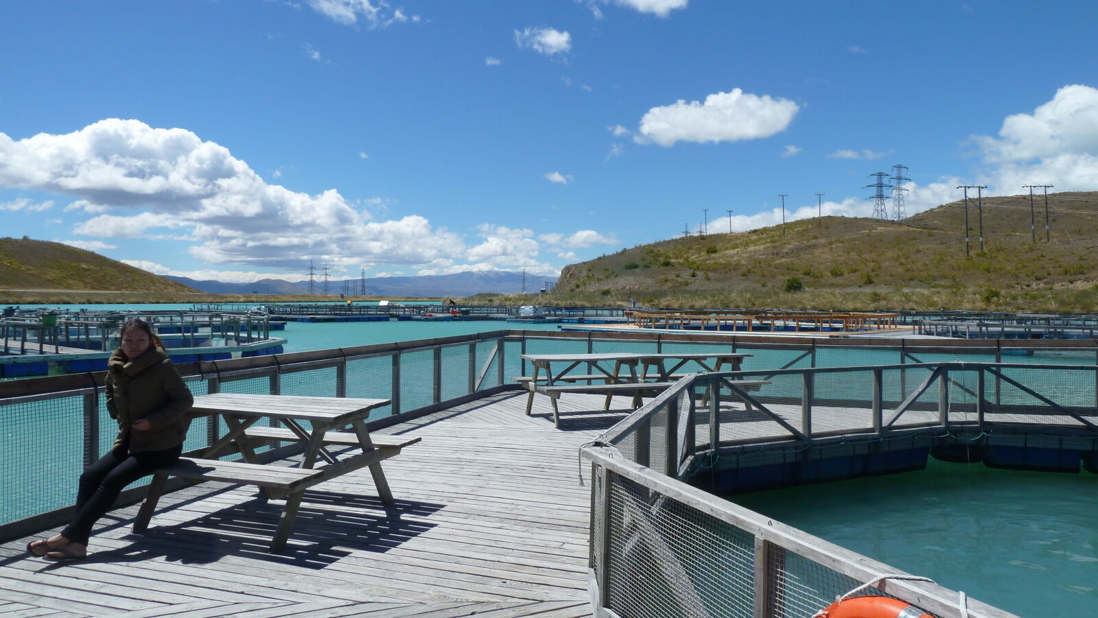 Salmon Farm.