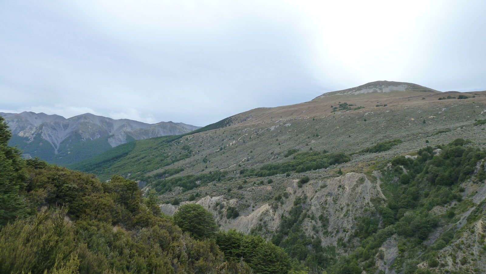 Bealey Spur Track.
