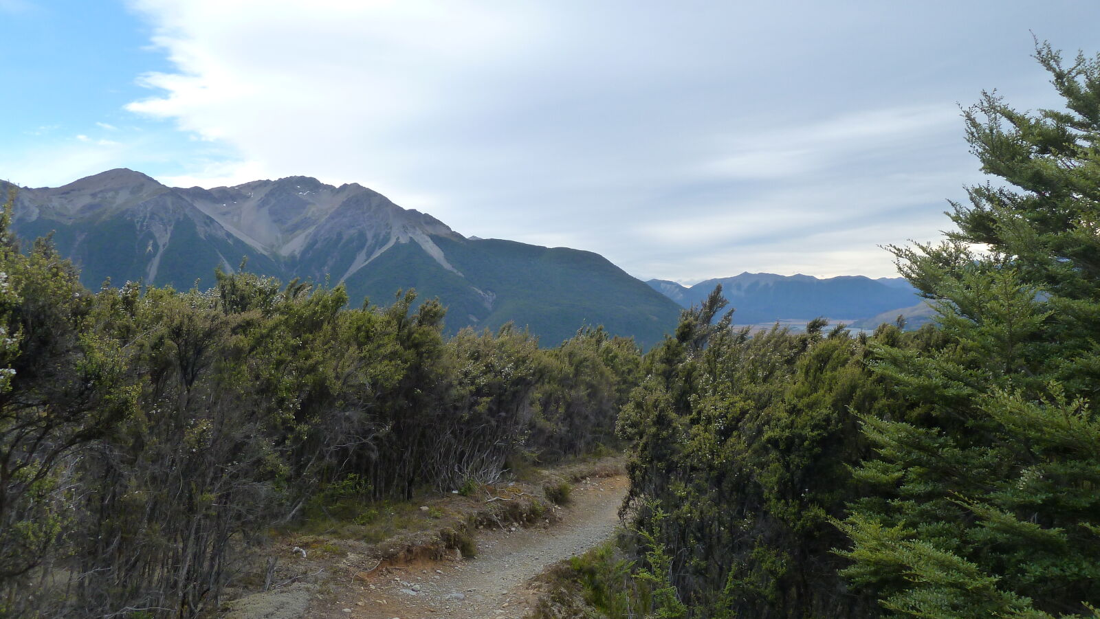 Bealey Spur Track.