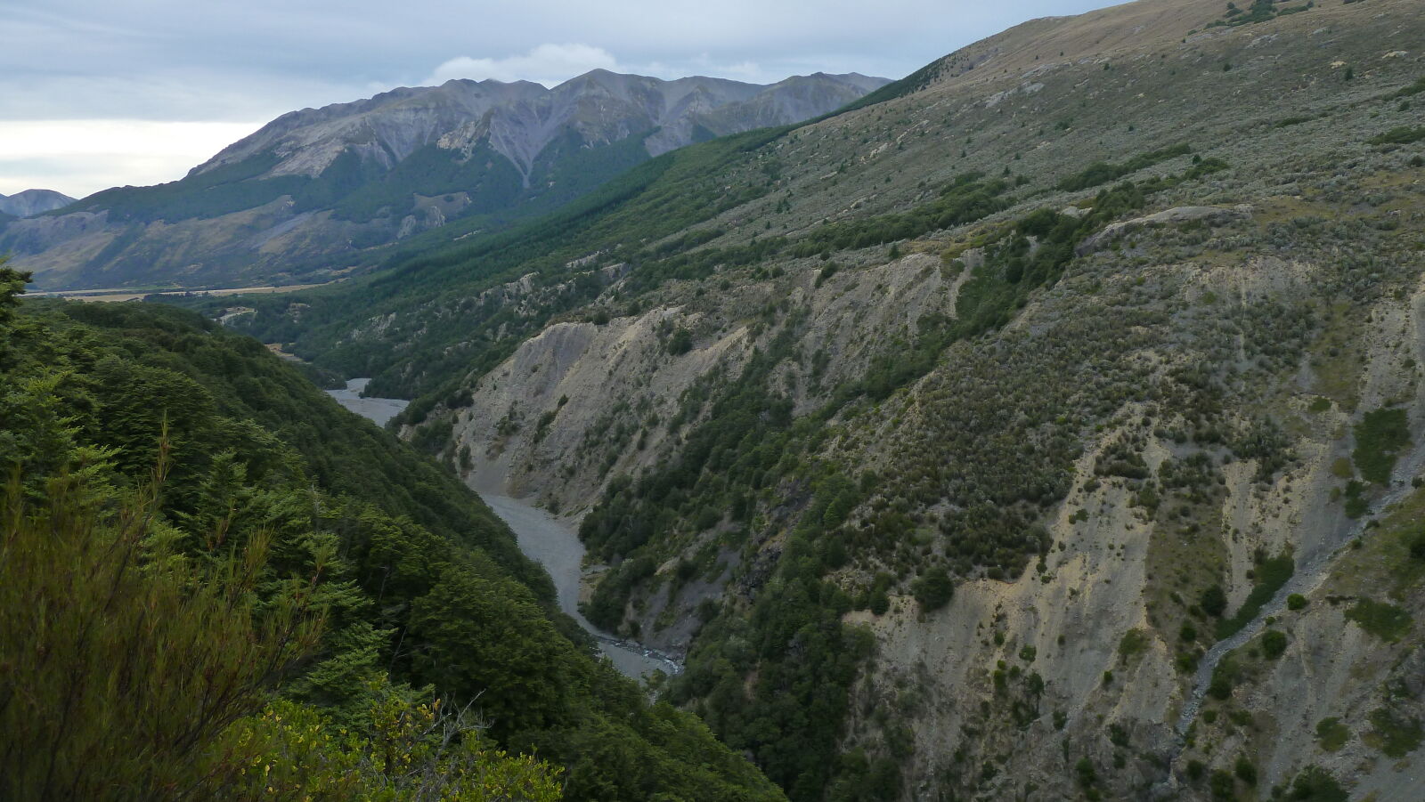 Bealey Spur Track.