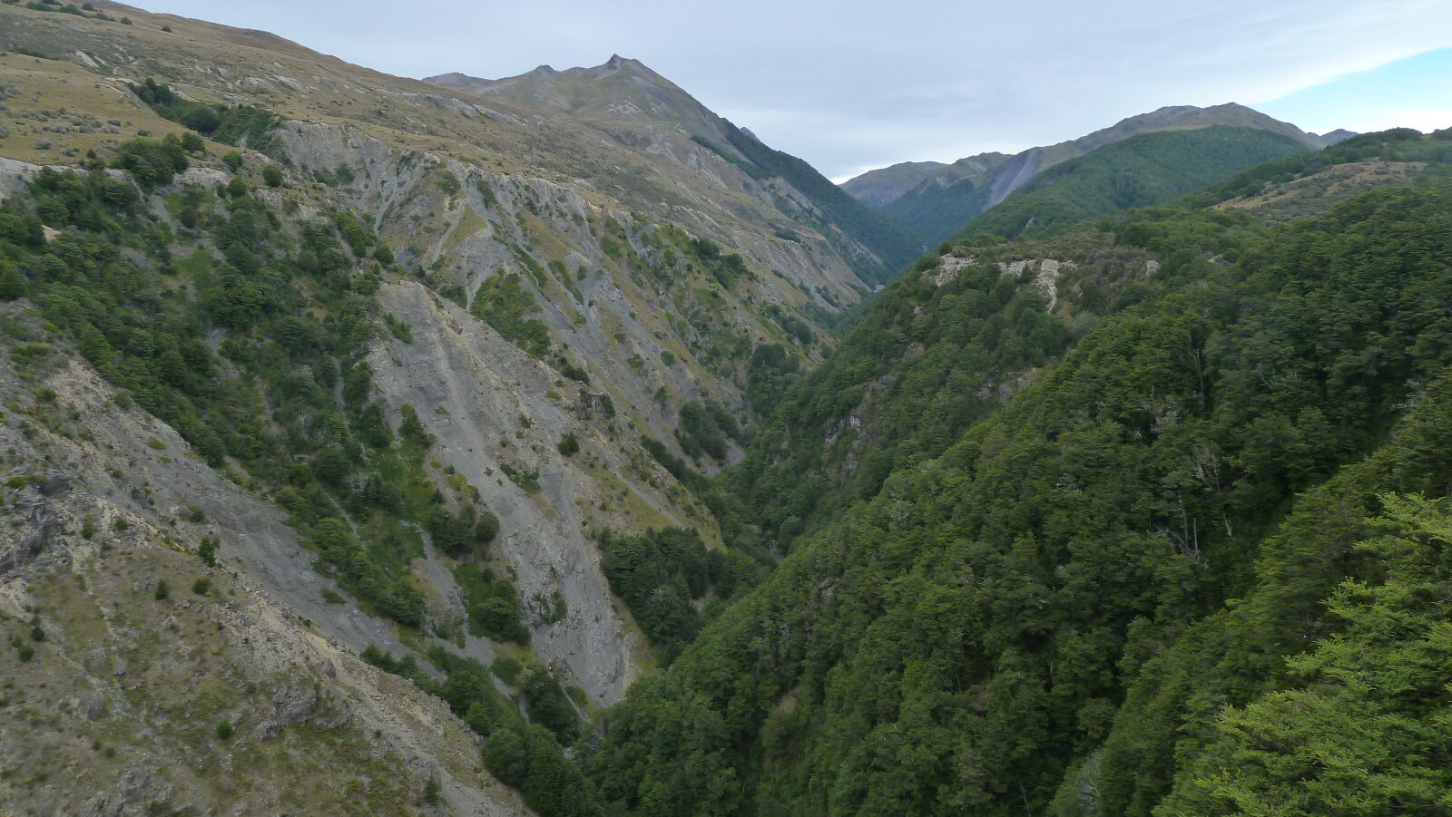 Bealey Spur Track.