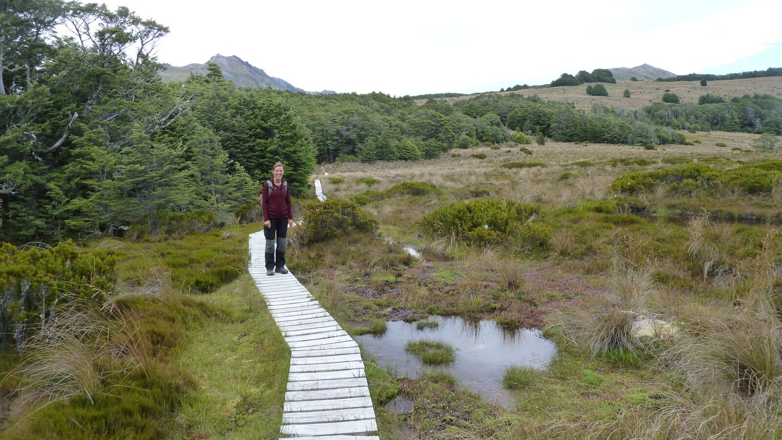 Bealey Spur Track.