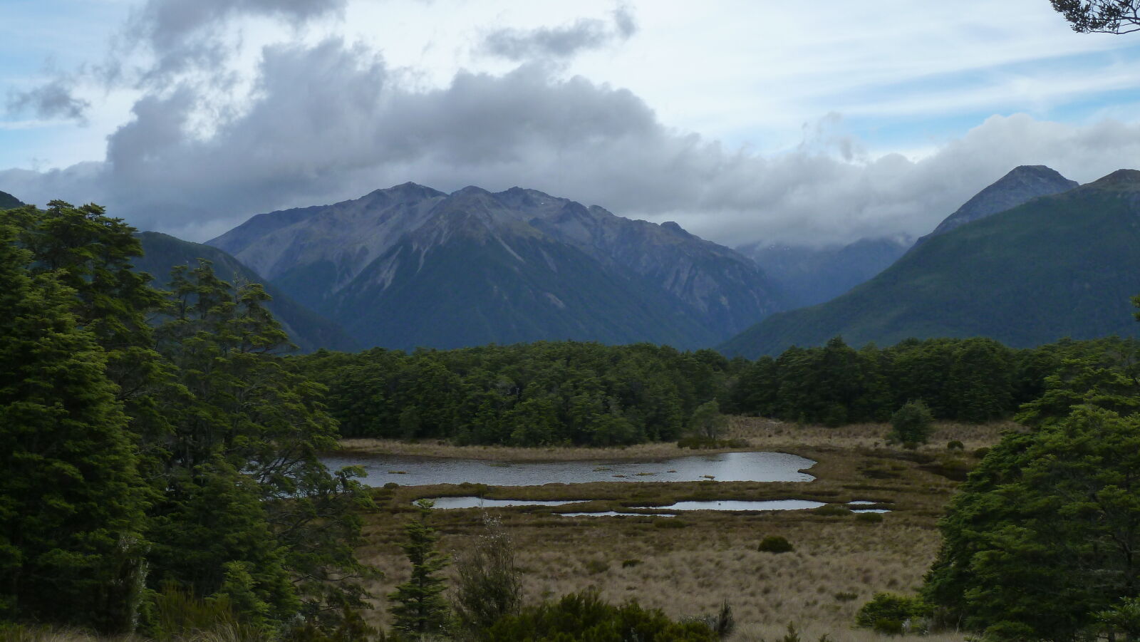Bealey Spur Track.