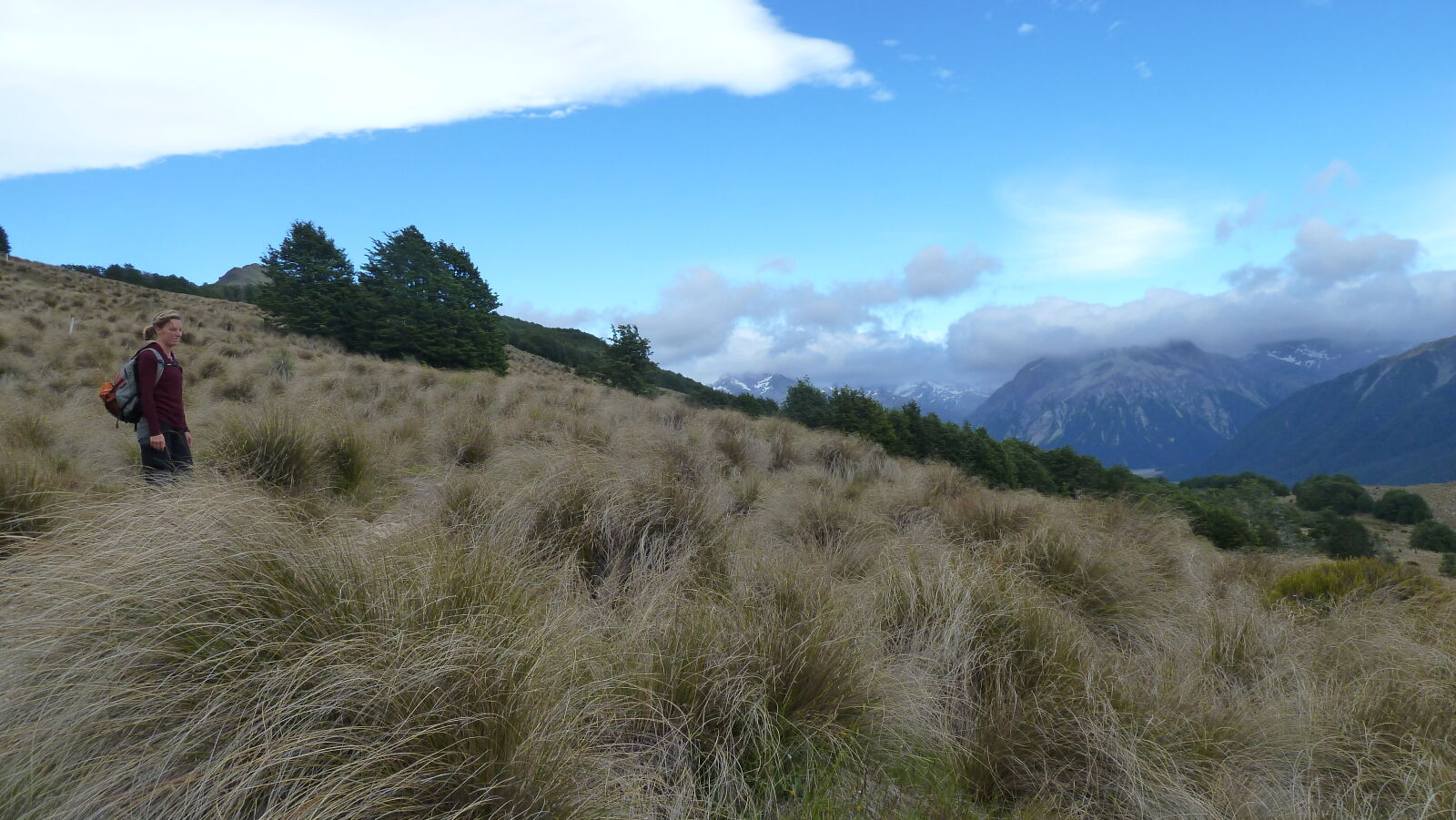Bealey Spur Track.