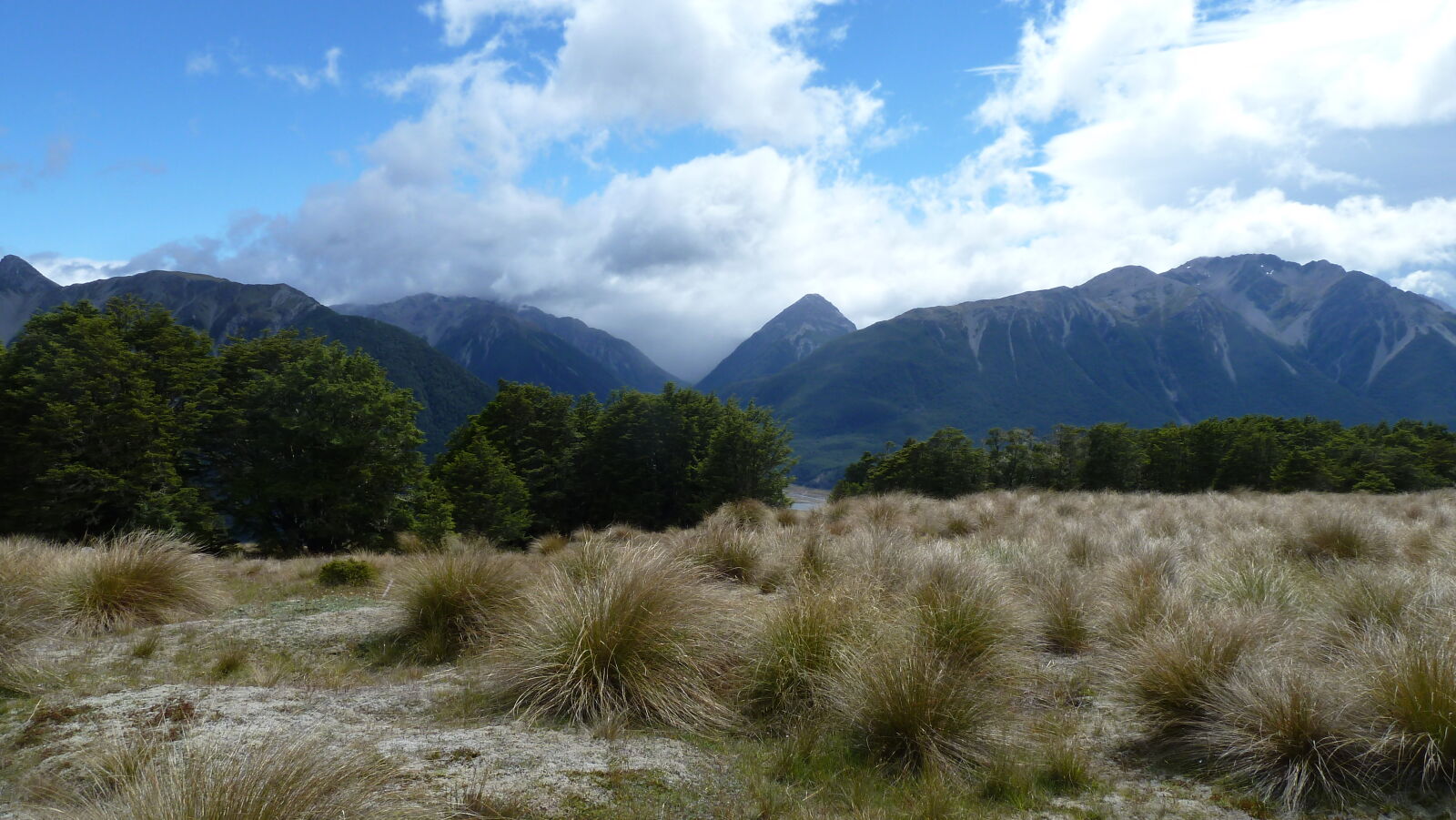 Bealey Spur Track.