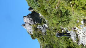 Mueller Hut Route, Tag 1.