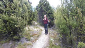 Bealey Spur Track.