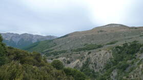 Bealey Spur Track.