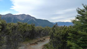 Bealey Spur Track.