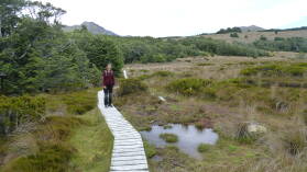 Bealey Spur Track.