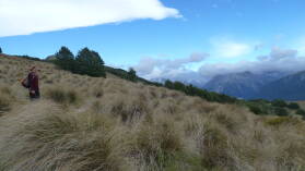 Bealey Spur Track.