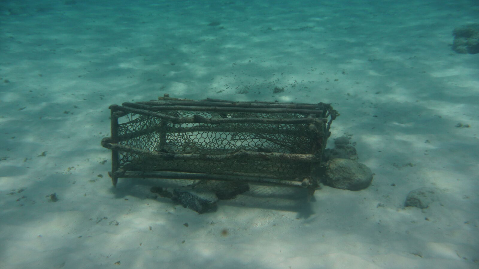 Sandy Island, Carriacou.