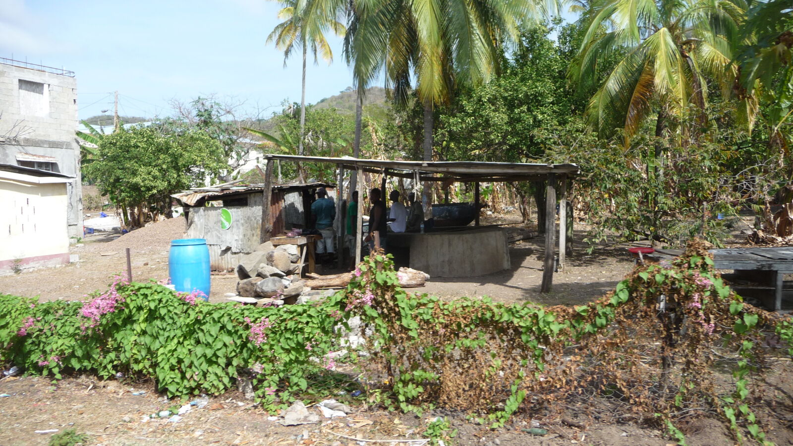 Inselrundfahrt auf Carriacou.