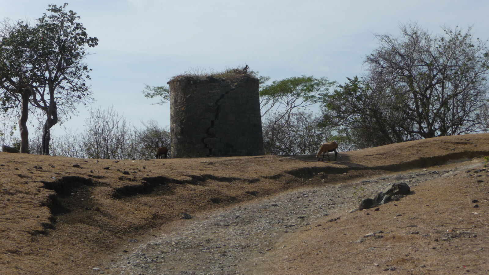 Inselrundfahrt auf Carriacou.