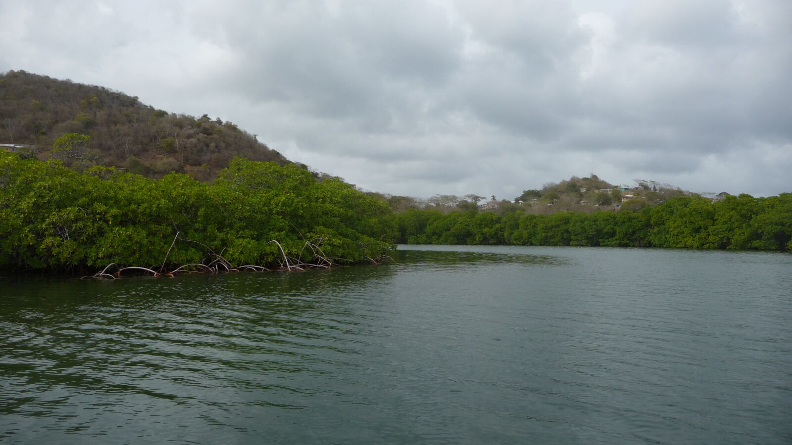 Dinghy-Tour in die Mangroven von Tyrrel Bay, Carriacou.