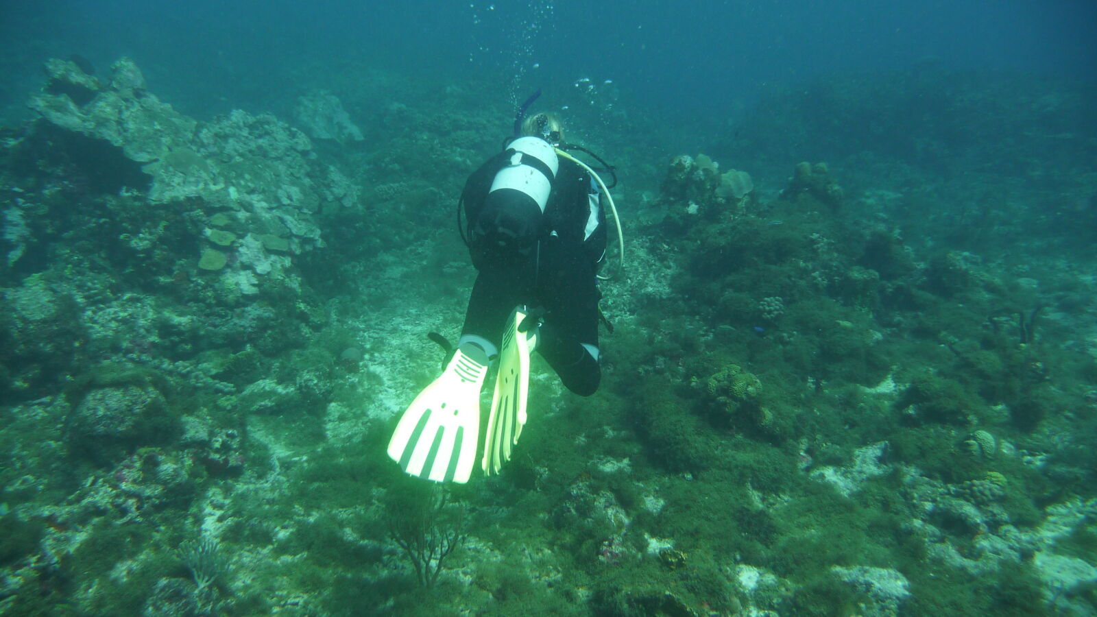 Tauchgang bei Mabouya Island.