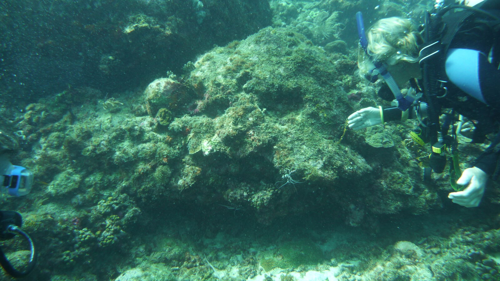 Tauchgang bei Mabouya Island.