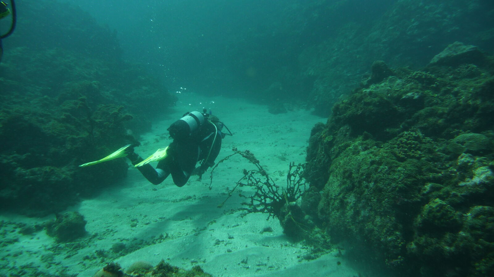 Tauchgang bei Mabouya Island.