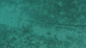 Anker vor Sandy Island, Carriacou.