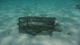 Sandy Island, Carriacou.