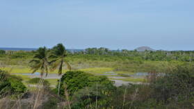 Inselrundfahrt auf Carriacou.