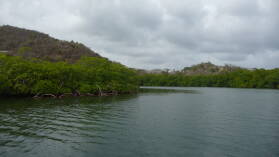Dinghy-Tour in die Mangroven von Tyrrel Bay, Carriacou.
