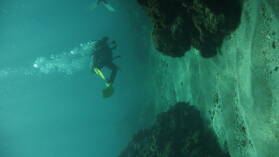 Tauchgang bei Mabouya Island.