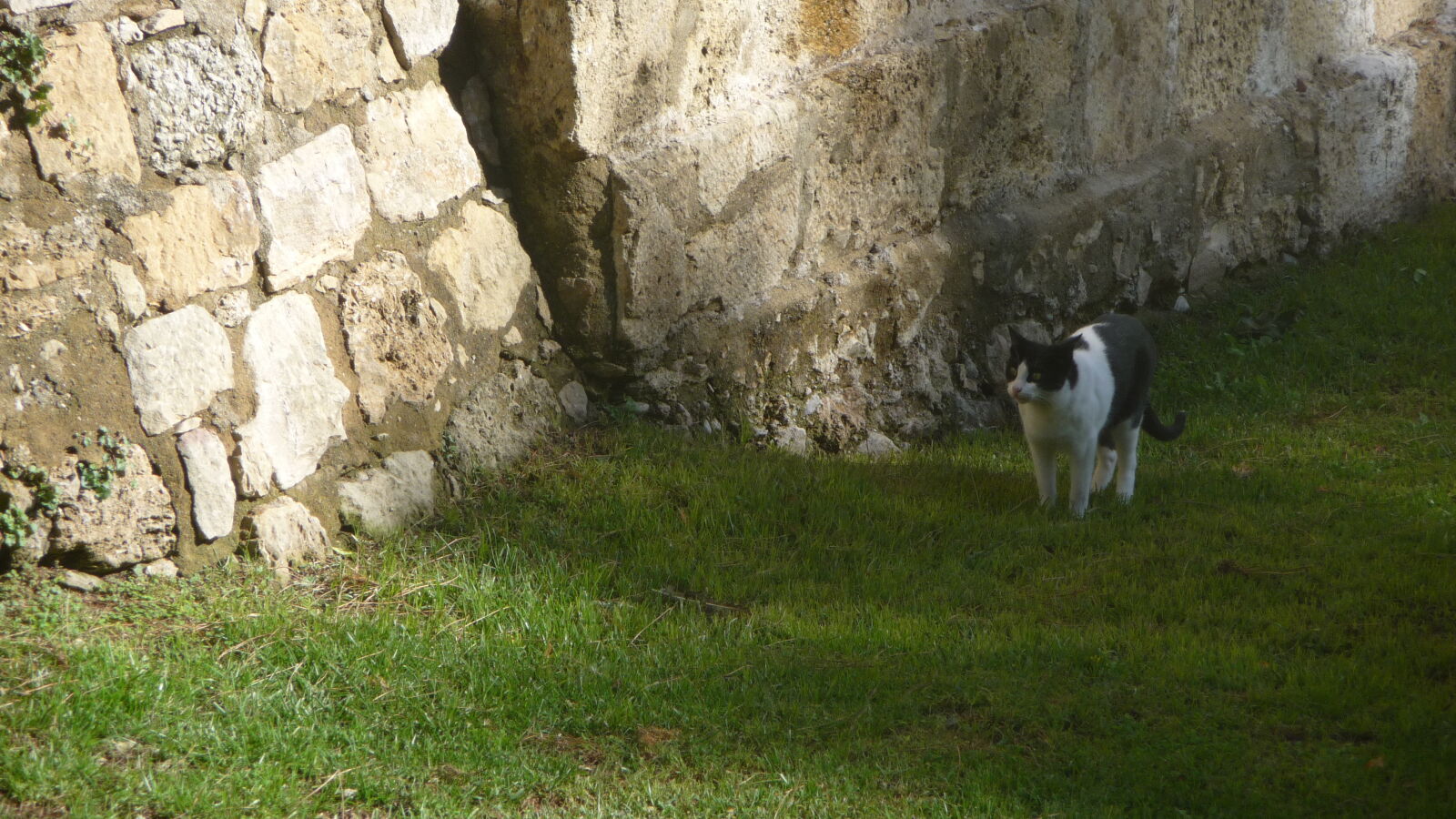 Im Castelo de SÃ£o Jorge, Lissabon.