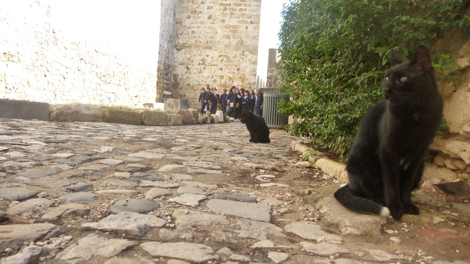 Im Castelo de SÃ£o Jorge, Lissabon.