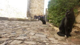 Im Castelo de SÃ£o Jorge, Lissabon.