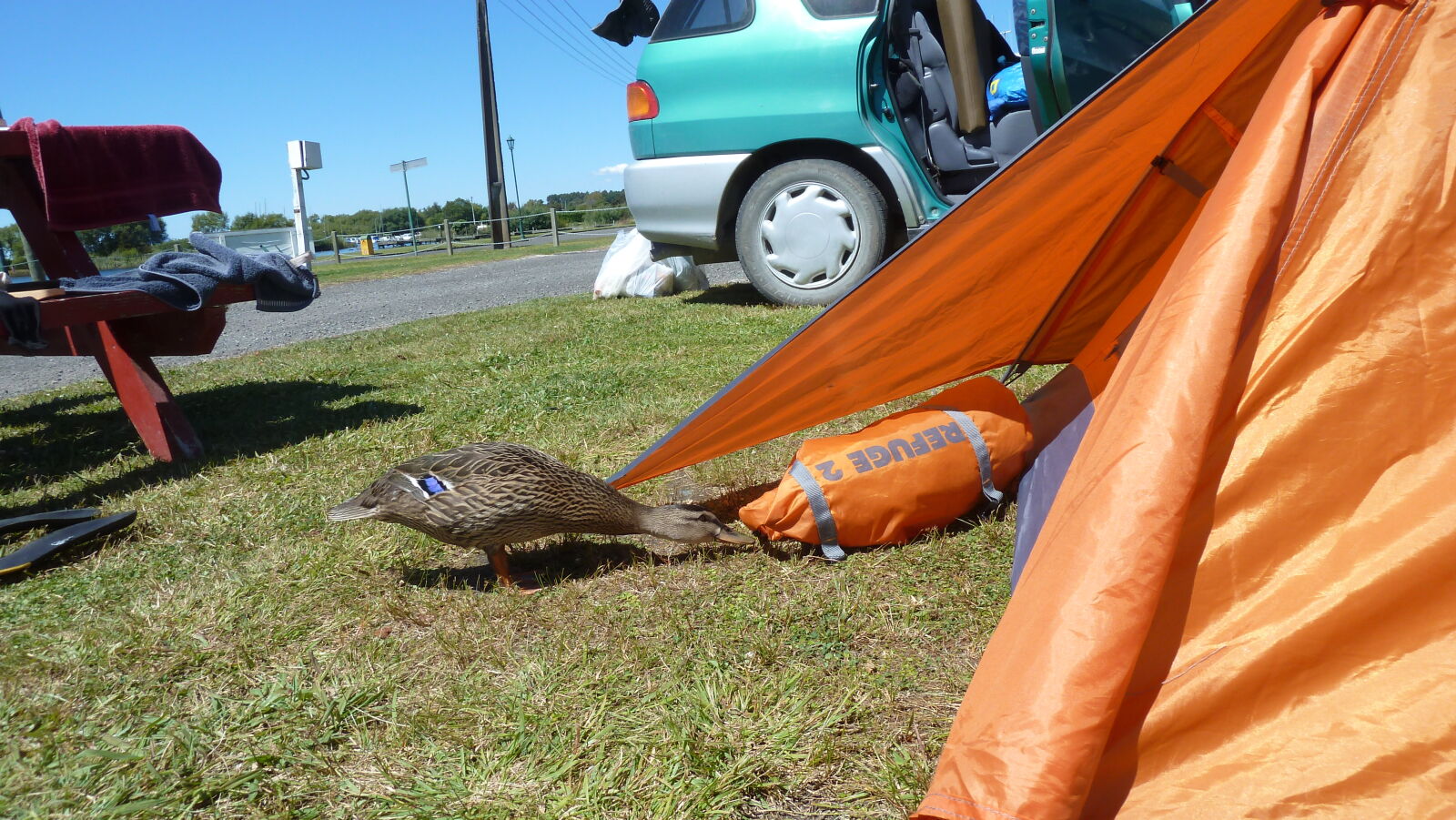 Campingplatz in Motuoapa am Lake Taupo.