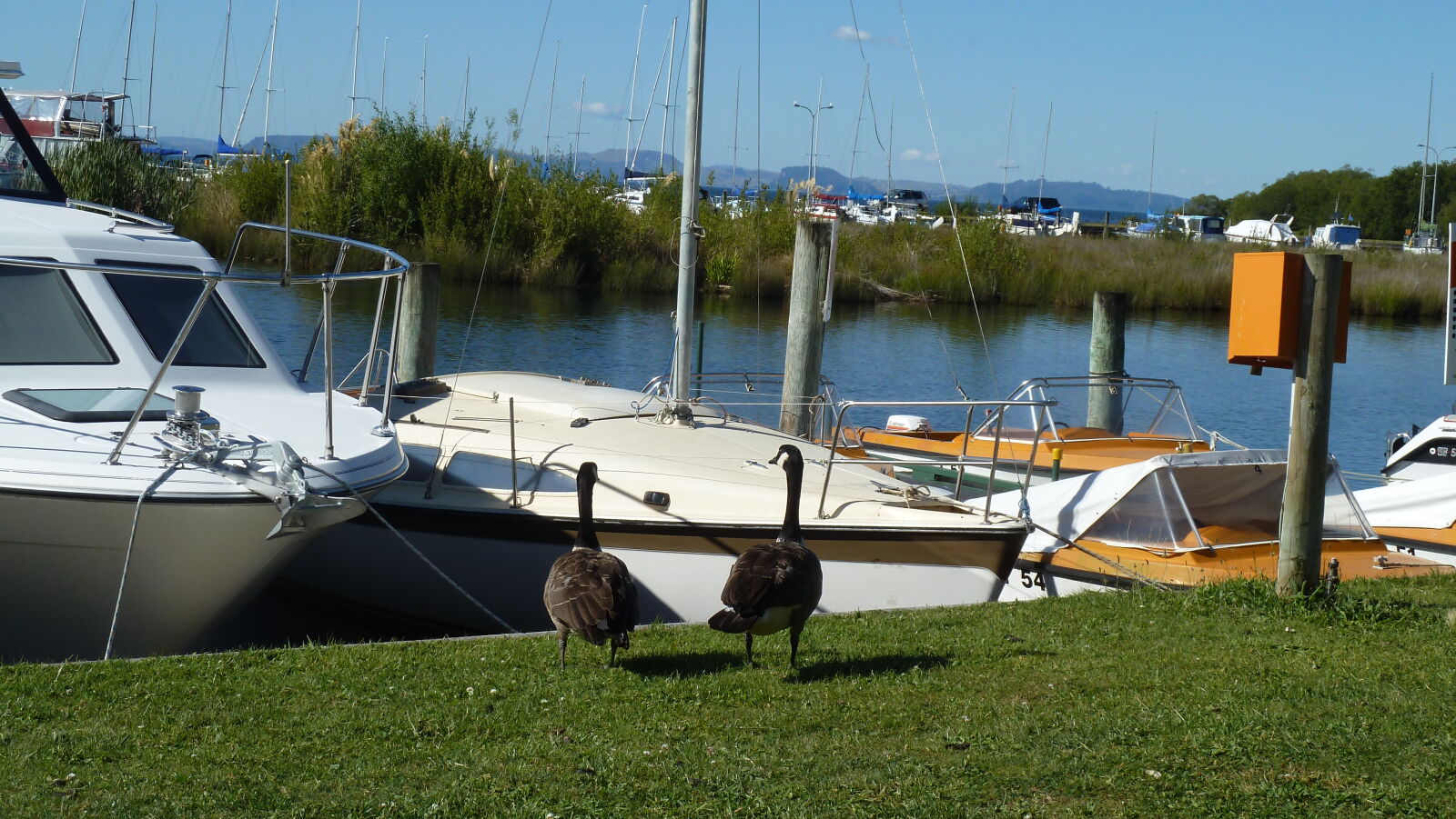 Motuoapa, Lake Taupo.